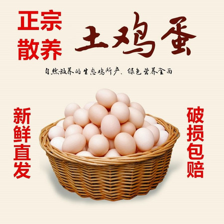 【破损包赔】40枚土鸡蛋正宗农家散养新鲜纯土鸡蛋30枚20枚可选