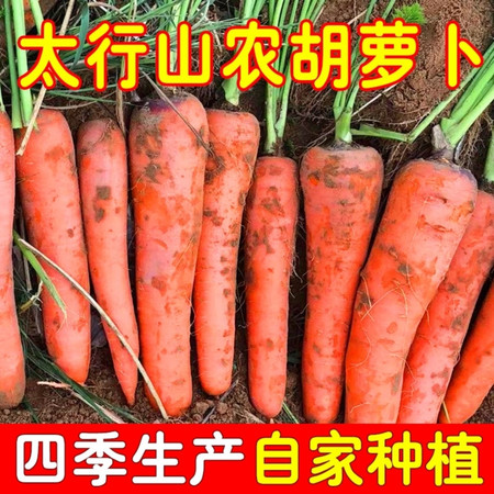 红萝卜蔬菜带泥农家自种即食生吃新鲜红皮红心脆甜胡萝卜现拔现发