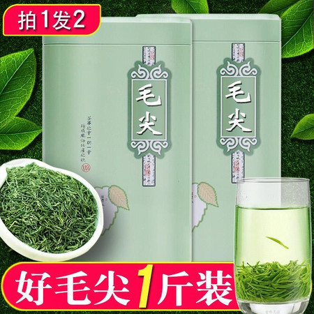 【买1送1】信阳毛尖2019新茶春茶绿茶嫩芽茶叶散装罐装浓香共500g图片