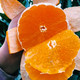 【净重5斤39.9元】广西武鸣沃柑水果新鲜孕妇贵妃柑橘5斤丑橘子沙糖桔子纯甜