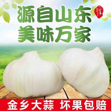 【2斤大果25.8元】山东大蒜紫红皮包邮农家蔬菜大蒜果2斤批发种子新鲜大蒜保温图片