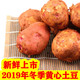 云南新鲜农家自种红皮土豆 马铃薯洋芋红皮黄心老品种5斤10斤包邮