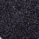 荷馨四季 农家东北黑米3斤 新米黑香米黑大米袋装精品五谷杂粮