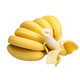 荷馨四季 广西南宁大香蕉（威廉斯） 高山甜香蕉