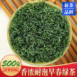 天王 新茶 高山云雾绿茶龙井43号香茶 浓香日照500g