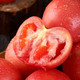 荷馨四季 陕西普罗旺斯西红柿