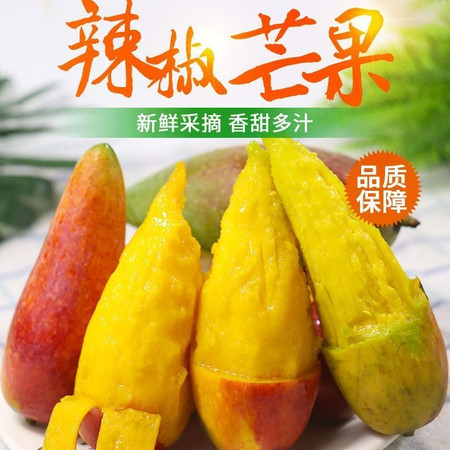 荷馨四季 海南直发 精品辣椒芒果 （1斤7个左右）图片