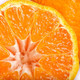 现摘四川丑橘丑八怪橘子应当季新鲜水果10斤耙耙柑丑桔橘柑子【尖叫严选】