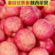 【邮政农品】陕西冰糖心红富士苹果带箱10斤（单果75-85mm)高山丑苹果包邮脆甜可口孕妇水果【复制】