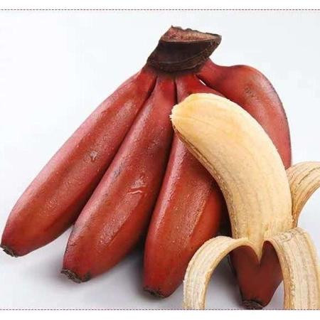 【今日特惠】福建土楼美人蕉红香蕉新鲜水果红皮香蕉批发小米蕉图片