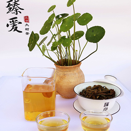 臻爱大树茶357g（普洱生茶）