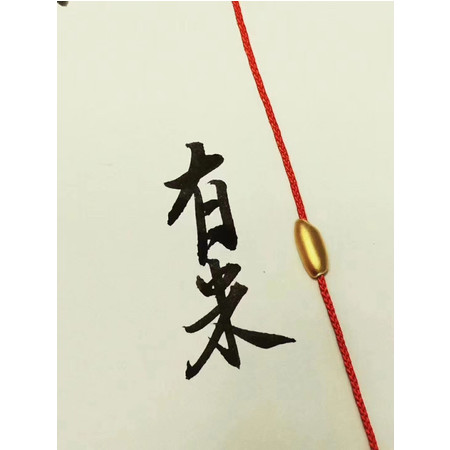 【萃华金店】网红款黄金 足金999（3D硬金）鼠年有米