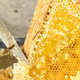 2022年新蜜天然蜂蜜400g玻璃瓶装0蔗糖0残留0添加