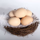 【预售】【50枚新鲜农家土鸡蛋】50枚长寿之乡家鸡蛋 散养正宗农家鸡蛋 新鲜土鸡蛋 宝宝蛋 笨鸡蛋