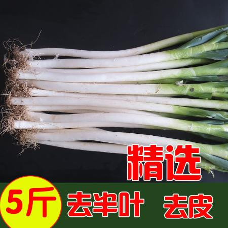 山东铁杆大葱甜脆蘸酱大葱5/10斤新鲜蔬菜生吃批发包邮特级章丘图片