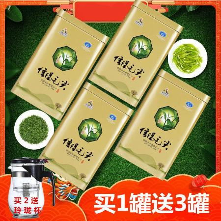 500g信阳毛尖茶叶日照绿茶浓香耐泡,包邮