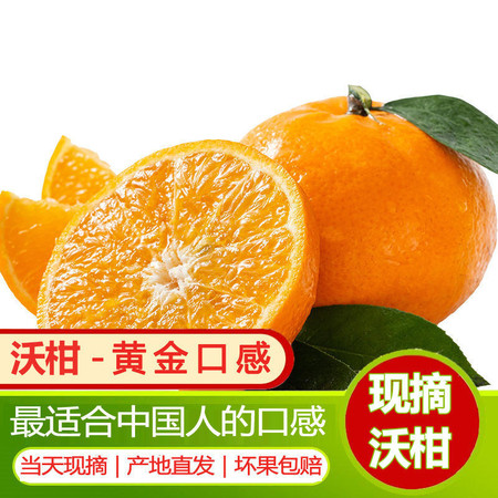 【果园现摘】正宗云南沃柑酸甜可口新鲜水果橘子桔子冰糖橙子整箱
