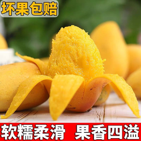 【精品】海南小台农芒果新鲜水果小台芒小芒果整箱批发