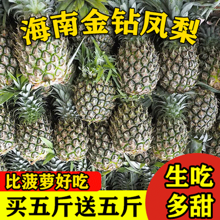 【顺丰包邮】海南金钻凤梨 无需沾盐水 当季时令热带菠萝水果新鲜