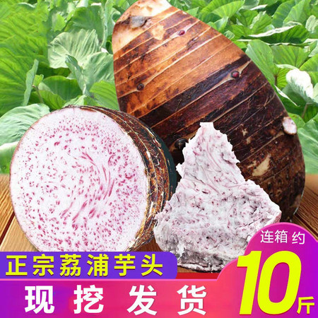 正宗广西荔浦芋头正宗香芋10斤/1斤/5斤香芋头新鲜特大农家槟榔芋香芋