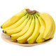 现货速发-高山甜香蕉-云南香蕉整箱10斤自然熟当季水果新鲜包邮十斤非广西小米蕉芭蕉