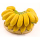 【早上砍下午发】正宗广西小米蕉10斤新鲜香蕉当季水果发青果5/1斤
