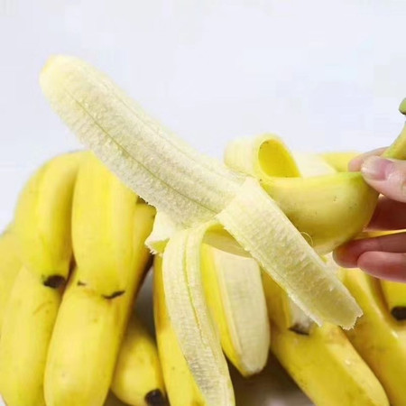 【品质好推荐】正宗云南青香蕉新鲜水果应季非广西小米蕉海南香蕉带箱9/5斤包邮图片