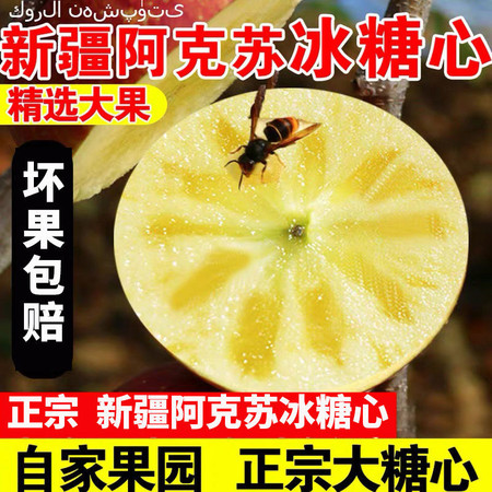 【爆甜阿克苏】苹果水果冰糖心丑苹果水果新鲜5/10斤当季水果新疆苹果阿克苏