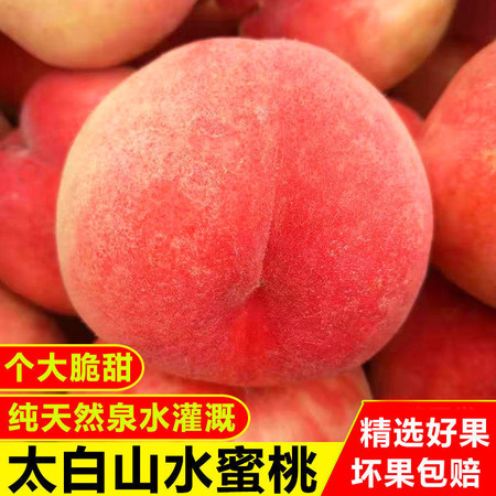 【精选好果】现货水蜜桃毛桃脆甜2斤3斤5斤大果包邮太白山应季蜜桃毛桃子水果