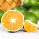 【果园直发】高山蜜桔当季新鲜水果橘子柑橘3斤桔子直径55mm以上现货速发