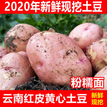 【农家自种】大中小现挖红皮土豆2020年新鲜云南高原马铃薯整箱装农家自种洋芋图片