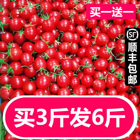 【顺丰包邮】圣女果小西红柿新鲜樱桃小番茄蔬菜当季现摘新鲜水果图片