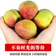 （降价了）【农家自种】青州蜜桃水果新鲜应季桃子脆桃毛桃冬雪蜜桃整箱批发好评满满非黄桃