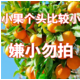 【小编推荐】四川金堂脐橙当季水果新鲜橙子批发多规格可选非冰糖橙果冻橙爱媛