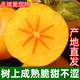 【到手即吃】	陕西脆柿子水果新鲜10斤脆甜整箱1斤甜硬应季黄柿子