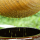 【买1送1】深山木桶蜜野生土蜂蜜正品传统农家.自产纯正天然蜂蜜