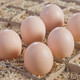 【预售】【30枚农家土鸡蛋】 农家散养土鸡蛋 新鲜柴鸡蛋 散养鸡蛋 土鸡蛋 农家蛋 山林鸡蛋