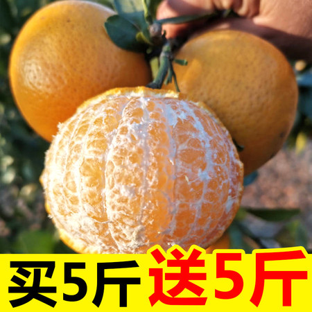 【预售】【5斤送5斤带箱9.5-10斤精品果】新鲜水果 当季柑橘 薄皮橘子 桔子 贡柑 沃柑