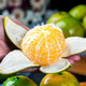 广西皇帝柑橘子大果新鲜水果当季整箱10斤包邮贡柑蜜桔批发桔子