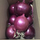 【2020新鲜】现挖紫皮洋葱【5斤包邮】农家自种圆葱新鲜蔬菜包邮五斤