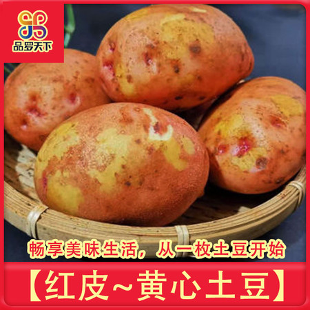 【48小时发货】8斤云南红皮黄心土豆  新鲜直达图片