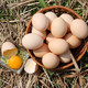 【春分活动专享 48小时发货】正宗大别山散养土鸡蛋40枚新鲜天然放养正宗月子小鸡蛋笨鸡蛋预售