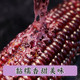 邮政农品 【潍坊馆昌乐邮政】有机黑糯玉米220g/根