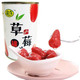 皮奇草莓罐头5/6罐单罐425g新鲜水果罐头休闲食品