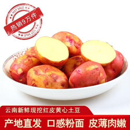 2020年云南高原新鲜现挖红皮黄心土豆5斤10斤洋芋马铃薯老品种图片