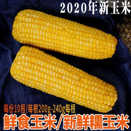 鲜食玉米东北特产黄玉米棒软粘糯19年新非转基因黑玉米苞米棒真空