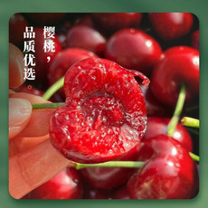 农家自产 【山东道口樱桃园】大樱桃3斤装 新鲜采摘 鲜脆多汁