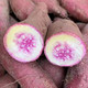邮鲜生 【预售】【香甜粉糯】合浦冰淇淋红薯农家自种沙地现挖番薯地瓜