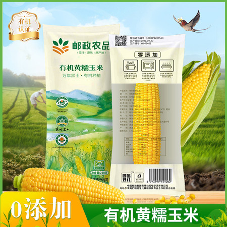 邮政农品 鲜食玉米玉米10支（糯九）图片