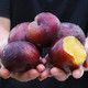黑布林李子水果新鲜大果孕妇时令水果当季现摘酸甜脆梅李整箱